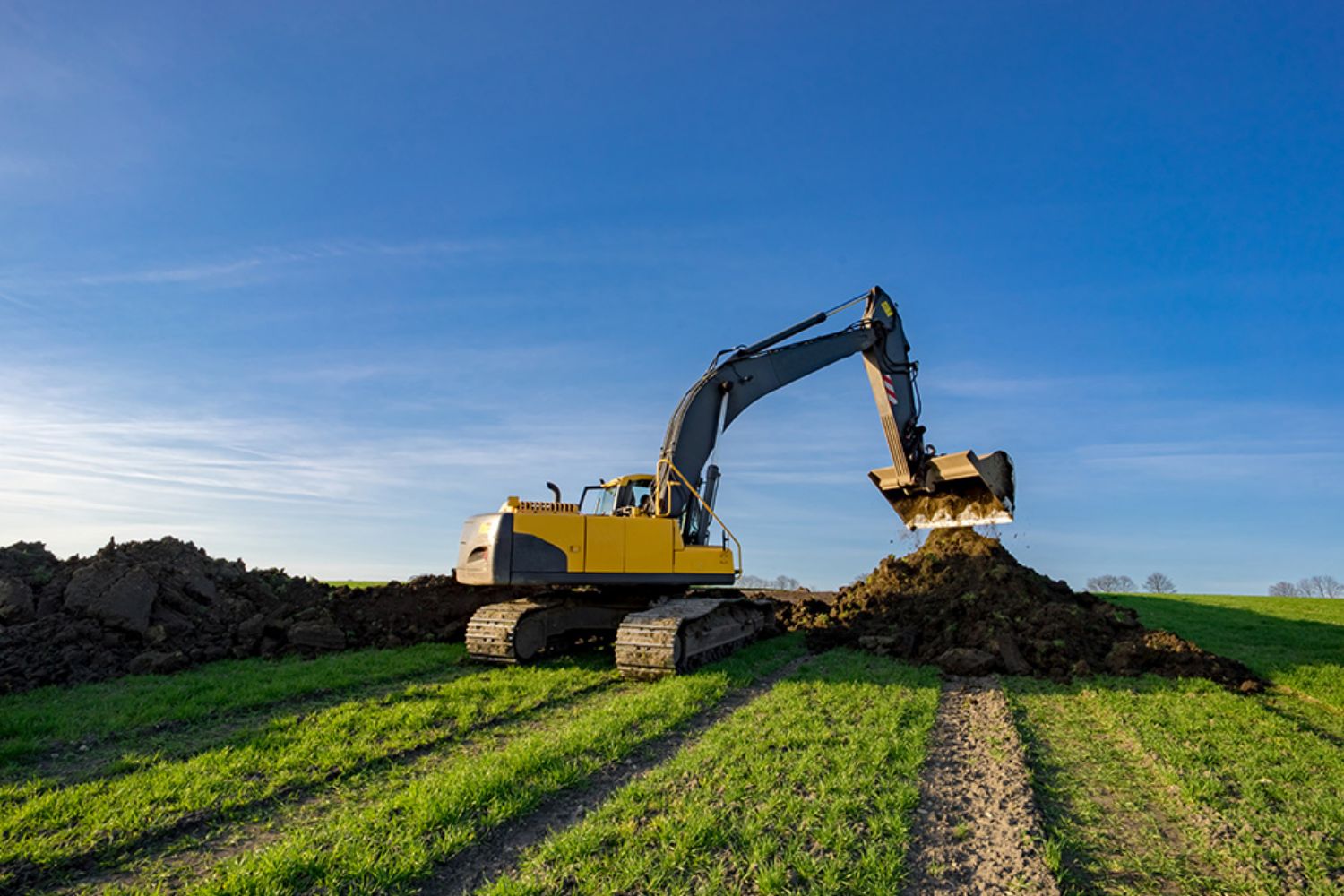 © countrypixel - stock.adobe.com Foto: Bagger
